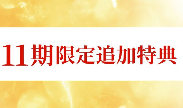 11期限定追加特典